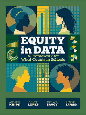 cover image of Equity in Data